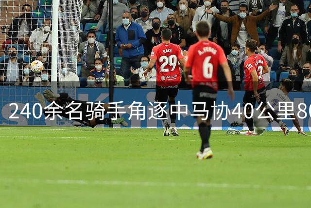 240余名骑手角逐中马协40公里80公里耐力达标赛丰宁站-国际在线