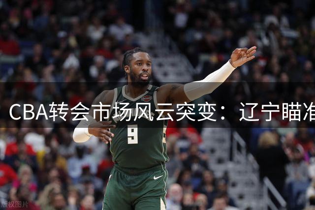 CBA转会市场风云突变：辽宁瞄准布朗遇阻，胡金秋留守广厦成定局